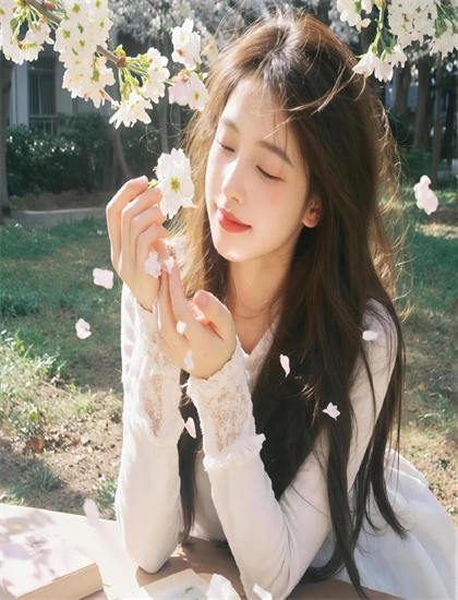 《夏日菊花茶》有什么特别之处？独特看点与特色解析